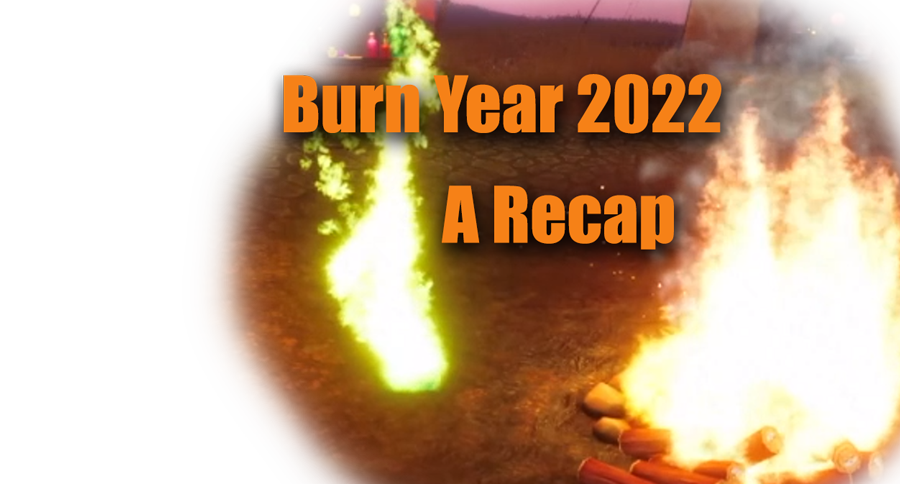 Shiba Inu Burns 2022: A Recap